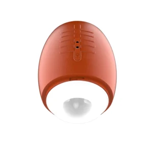 musipassion Glans Trainer