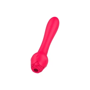 Musipassion Dual-Head Suction Vibrator