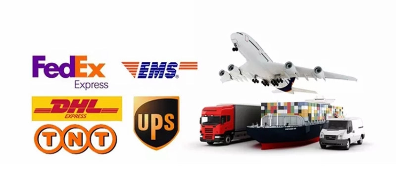 Dual-Vibration Spanking Adult Toy Shipment